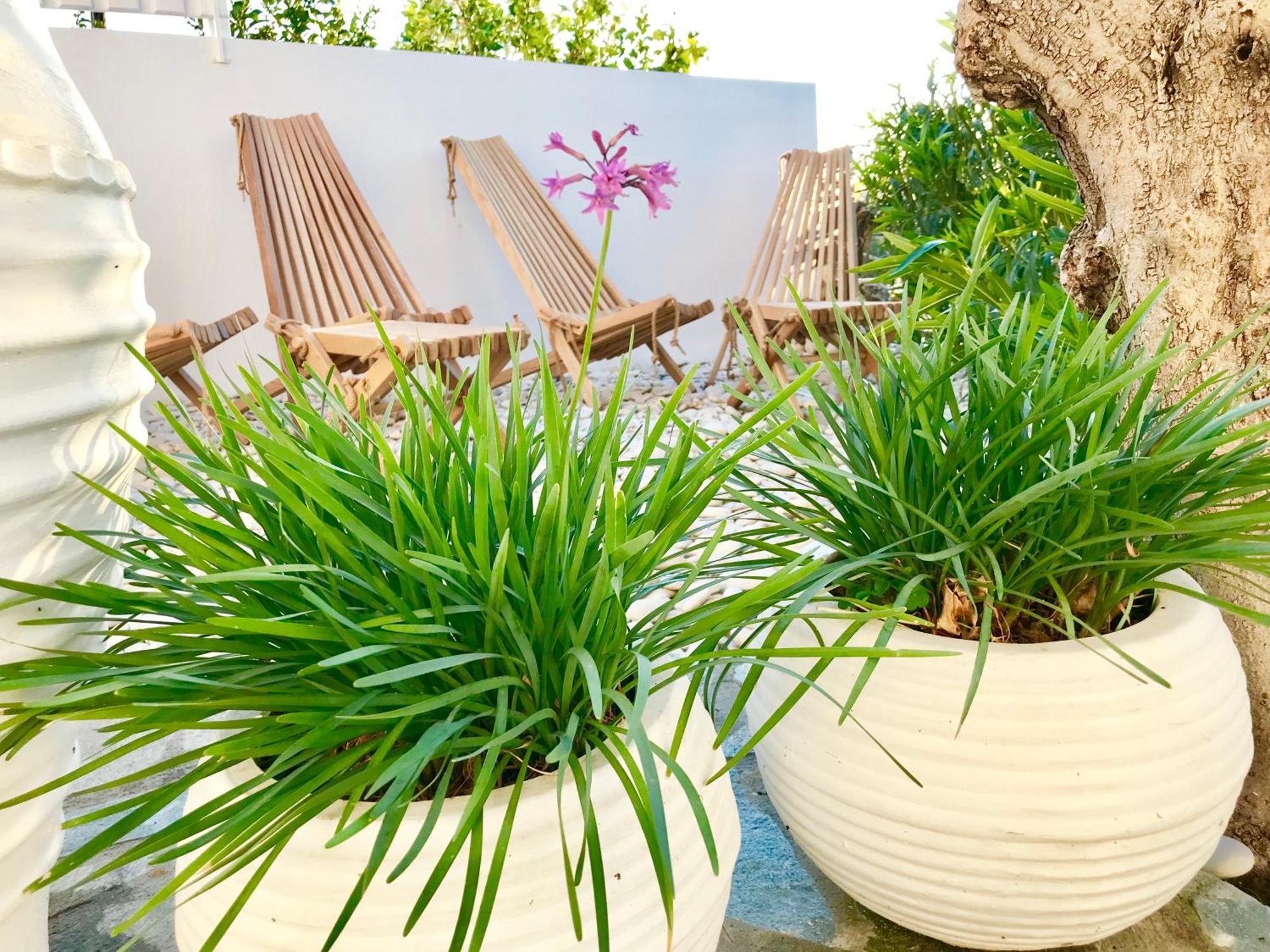 Apartamento Almyrida Sands *
